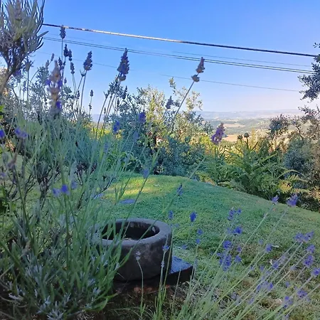 Apartment Podere Casato 2 Hills View, Pool, Wifi Tuscany